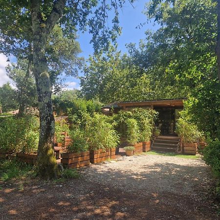 Chalet 2020 Camping 4 Etoiles Bassin D'Arcachon La Teste Экстерьер фото